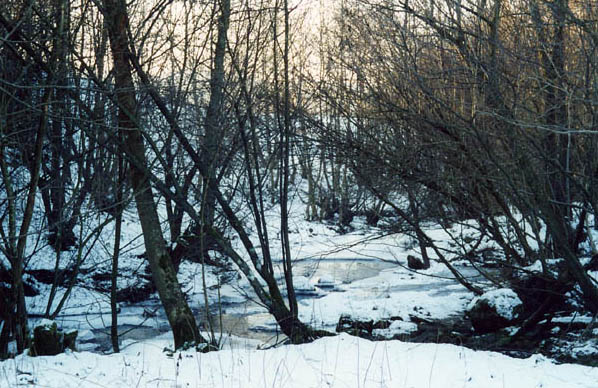 Pitlochry - January 2002